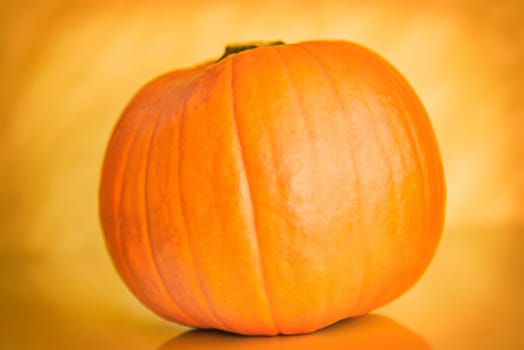 pumpkin on orange background background,halloween theme