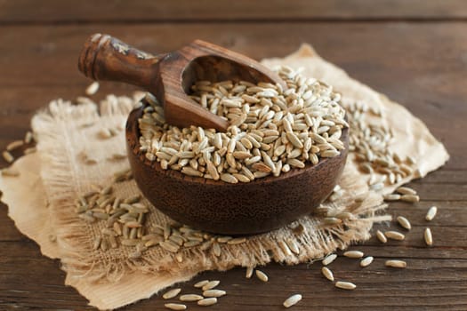 Dry Raw Rye Grain in a bowl with a spoon