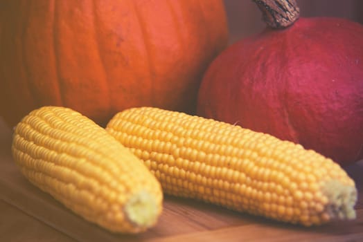 pumpkins and corn arrangement on wooden background