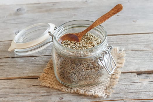 Dry Raw Rye Grain in a jar with a spoon
