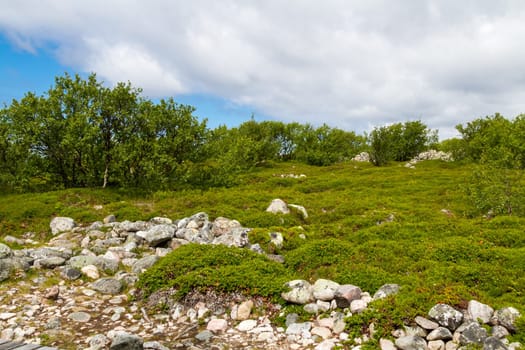 Zayatsky Island of the Solovetsky Archipelago,Karelia,north of Russia.