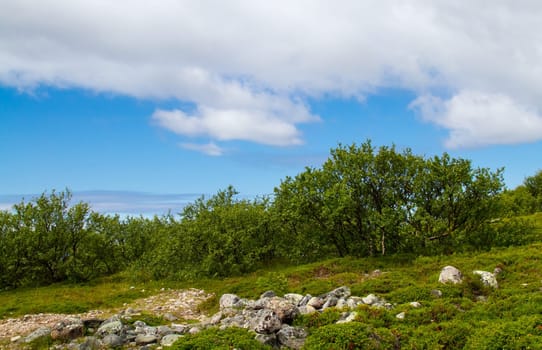 Zayatsky Island of the Solovetsky Archipelago,Karelia,north of Russia.