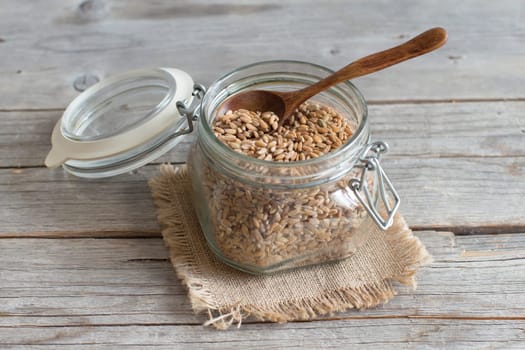 Raw whole spelt in a glass jar on wooden background