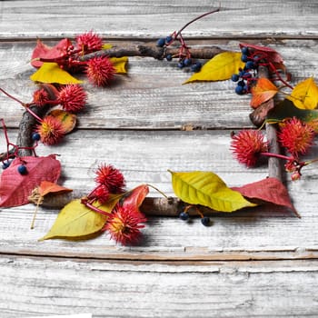 autumn background of leaves and dry branches