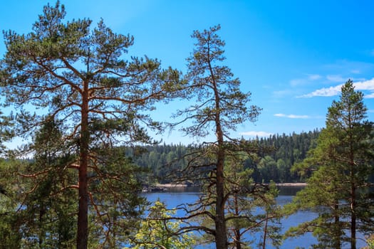 The view of Lake Ladoga. Karelia,Russia.