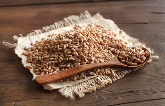 Uncooked whole spelt with a wooden spoon and on the table