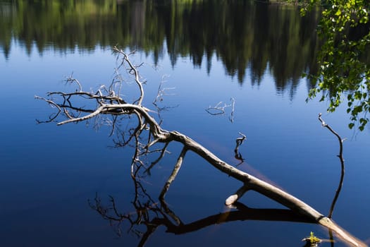 The dry branch into Lake Ladoga. Valaam,Russia.