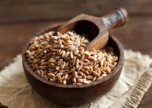 Uncooked whole spelt in a bowl with a wooden spoon on the table