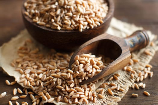 Uncooked whole spelt in a bowl with a wooden spoon on the table