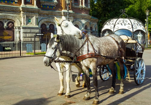 The carriage in the square,St. Petersburg ,Rossiya.