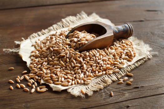 Uncooked whole spelt with a wooden spoon on the table