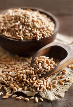 Uncooked whole spelt in a bowl with a wooden spoon on the table