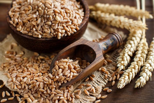 Uncooked whole spelt grain in a bowl with a wooden spoon and spelt ears on the table