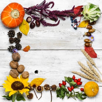 Autumn plants and flowers,pumpkin nuts and cones laid out square