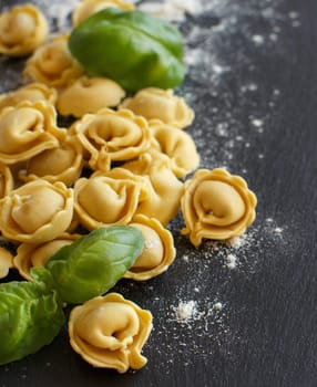 Homemade raw Italian tortellini and basil on a dark background