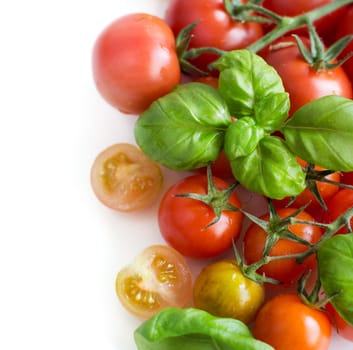 Cherry tomatoes and basil isolated on white background