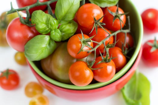 Cherry tomatoes and basil in bowl isolated on white background