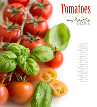 Cherry tomatoes and basil isolated on white background