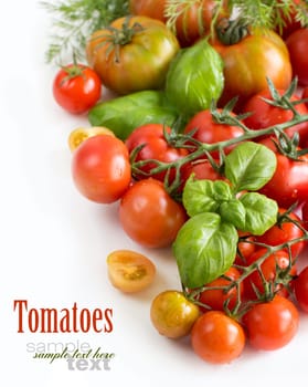 Cherry tomatoes and basil isolated on white background