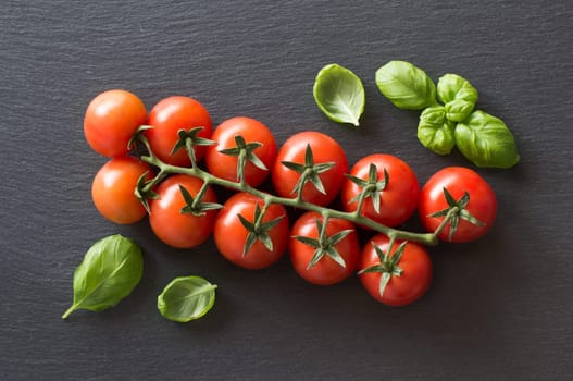 Fresh cherry tomatoes and basil on a dark background