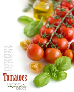 Cherry tomatoes and basil isolated on white background