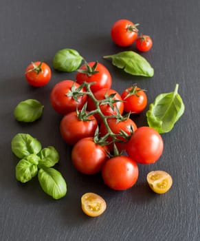 Fresh cherry tomatoes and basil on a dark background