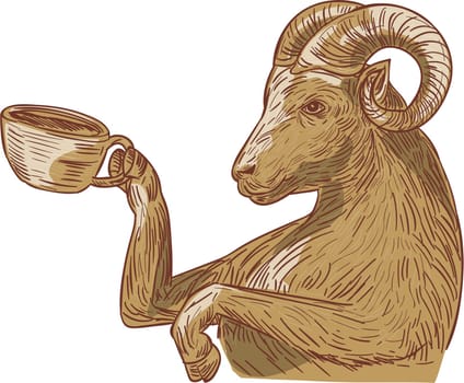Drawing sketch style illustration of a ram goat drinking coffee viewed from the side set on isolated white background.