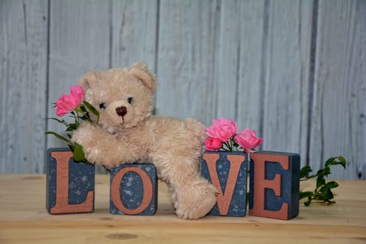 White teddy bear lies on cubes with the word Love in front of a white wooden wall and with pink roses