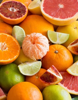 Fresh citrus fruits: oranges, mandarines, lemons, limes and grapefruits