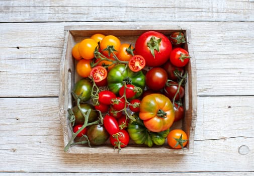 Colorful tomatoes on a wooden table top view