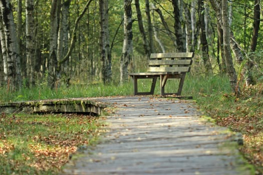 Bench on the Holzbohlenweg through the Black Moor in the Rhön