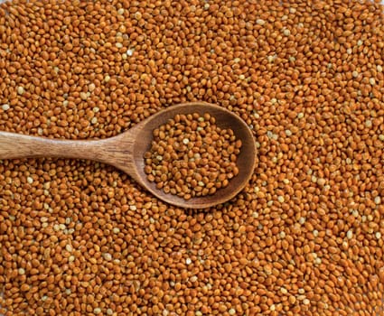 Whole brown millet pile with a spoon close up