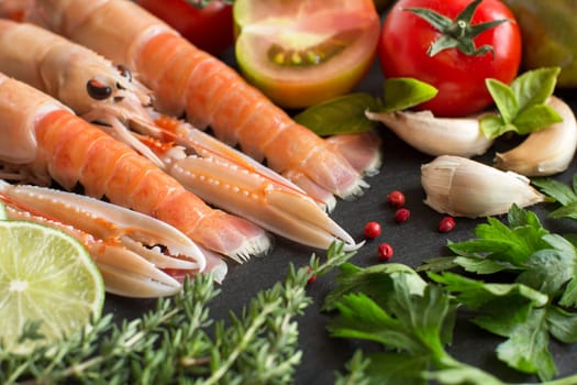 Raw langoustines with vegetables and herbs on the dark background