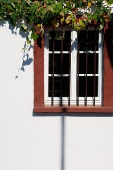The nostalgic wooden window of a listed house with iron bars in front of the frame,a bright façade and vine leaves.