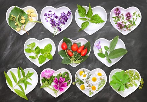 Harvesting fresh herbal and fruit teas