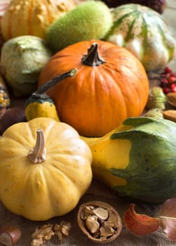 Pumpkins, nuts, leaves and berries on a burlap background