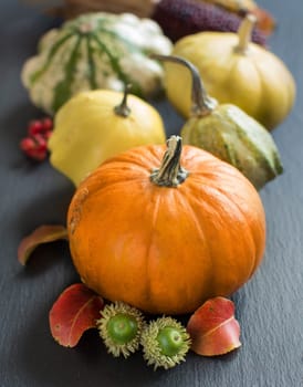 Pumpkins, acorns, leaves and berries on dark background