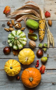Pumpkins, corn cob, wheat spikes, nuts, acorns, leaves and berries on wooden background