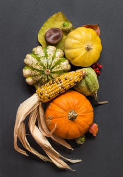 Pumpkins, corn cob, acorns, leaves and berries on dark background