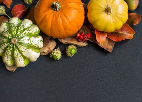 Pumpkins, acorns, leaves and berries on dark background