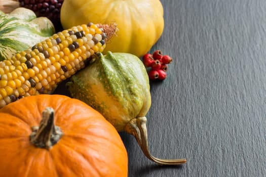 Pumpkins, corn cob and berries on a dark background