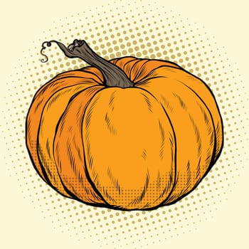 Ripe pumpkin, Thanksgiving or Halloween. pop art retro vector illustration. Autumn harvest