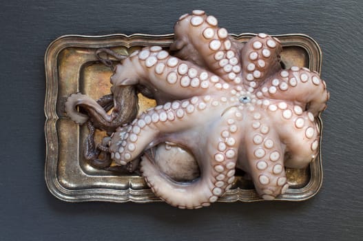 Raw octopus on tray on a dark backgraund