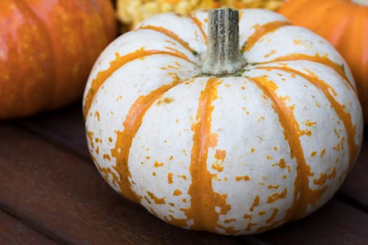 White and orange striped autumn gourd.