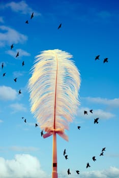 cloudy blue background with a white feather and birds flying