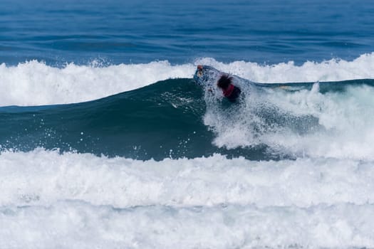 VIANA DO CASTELO, PORTUGAL - SEPTEMBER 22, 2016: Mathias Dias (CHI) during  the Viana World Bodyboard Championship 2016.