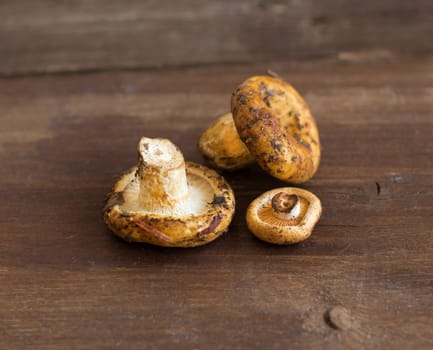 Saffron milk cap mushrooms on a wooden table