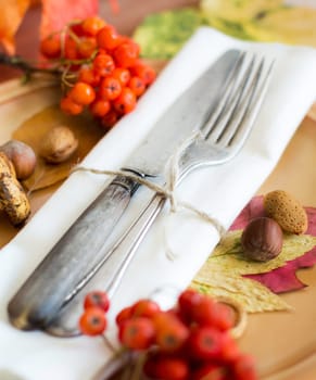 Autumn rustic table setting with berries, leaves, muchrooms and nuts
