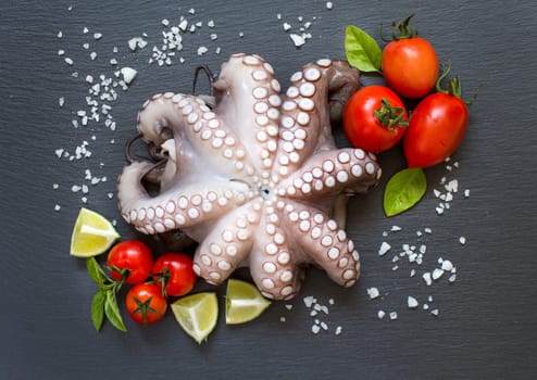 Raw octopus with lime, tomatoes and basil over dark background