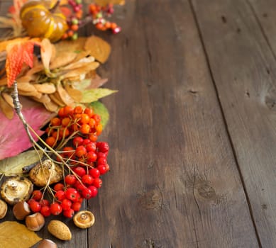 Autumn background with berries, leaves, muchrooms and nuts